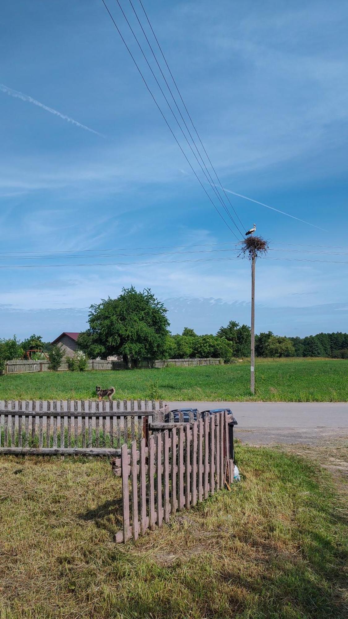 Domek Z Ogrzewaniem Podlogowym Wyszki Buitenkant foto